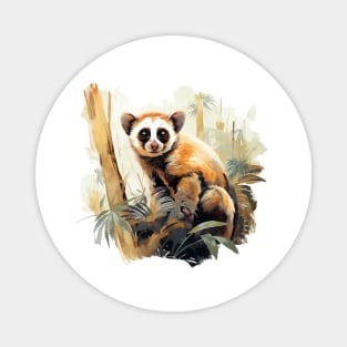 Slow Loris Magnet